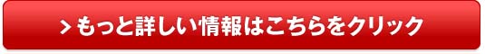 ダイアンプールピンキーリング販売サイトへ
